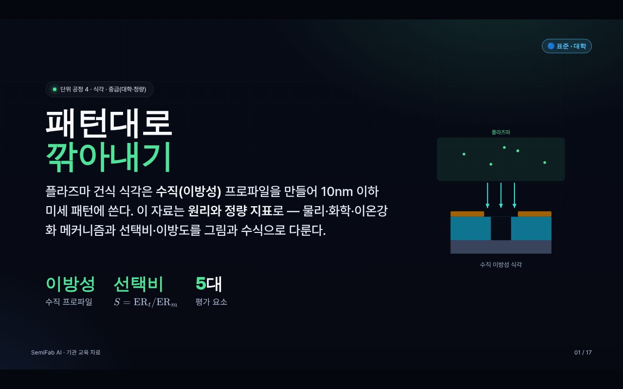 식각 공정 교과서 — 표지 — 이방성 · 선택비 · 평가 요소