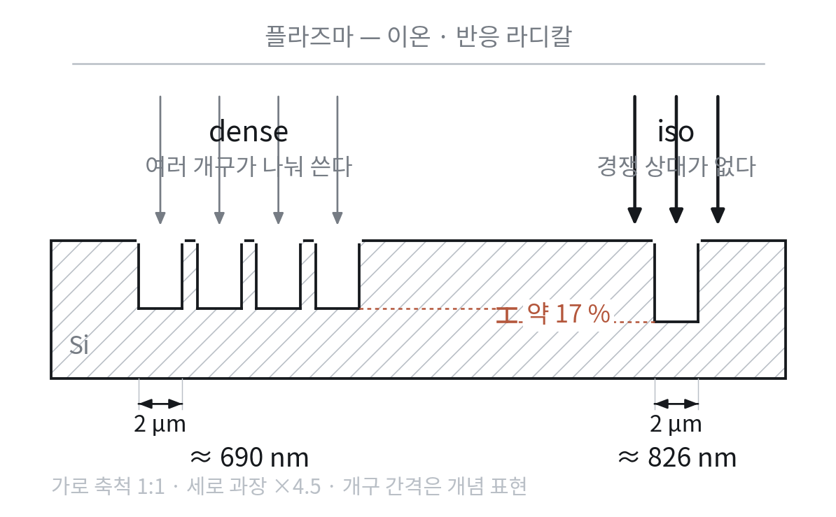 dense 군집과 iso 개구의 트렌치 단면 비교 — 개구 폭은 양쪽 다 2µm인데 여러 개구가 반응종을 나눠 쓰는 dense 쪽은 약 690nm, 경쟁 상대가 없는 iso 쪽은 약 826nm까지 파여 약 17% 차이가 난다